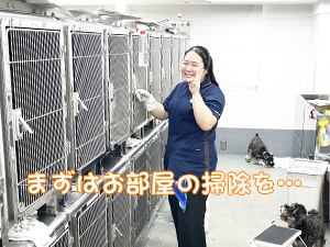 先生たちもモデル犬のお世話☆